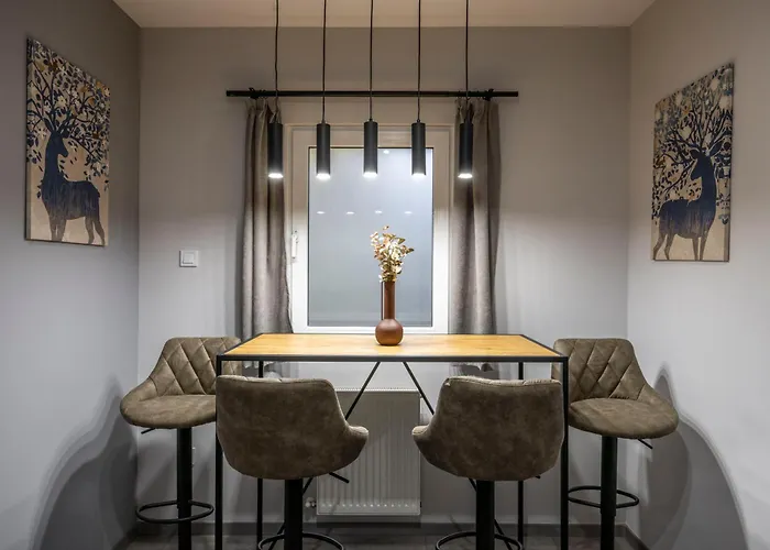 Exclusive Duplex With Balcony On Elisabeth St' Budapest